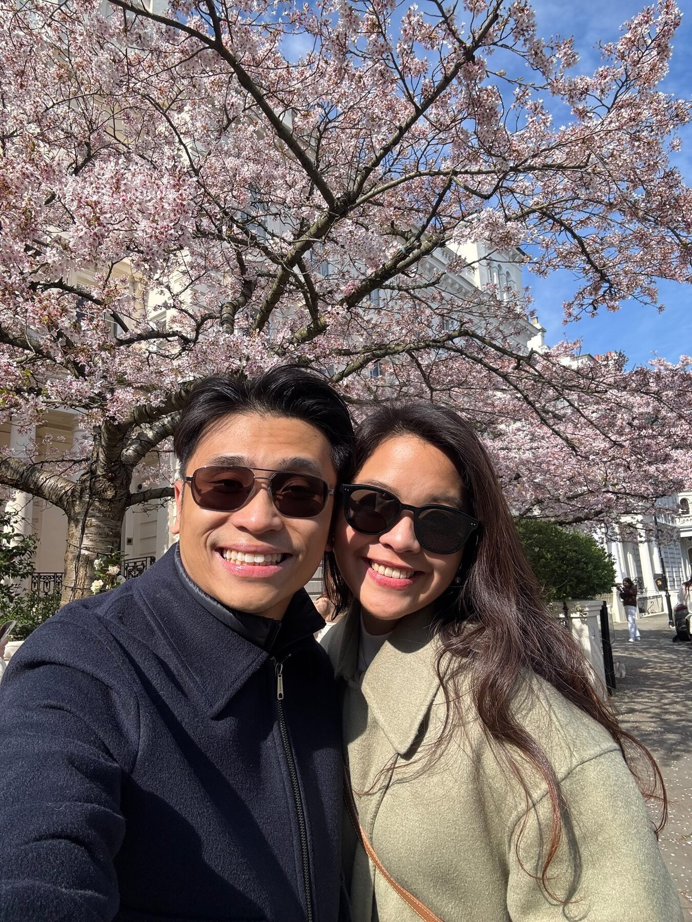 Cherry blossoms and magnolias in Notting Hill